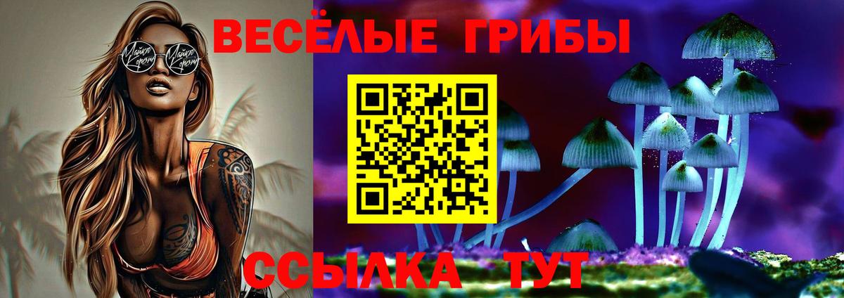 Псилоцибиновые грибы Psilocybine cubensis  Вход с VPN  Псилоцибиновые грибы Psilocybine cubensis  Звенигород 